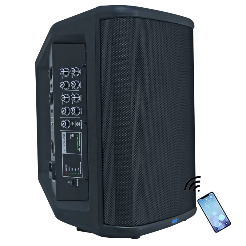 Profesjonalny przenośny system – Pa Sound System Battery Portable Outdoor recenzja i cena
