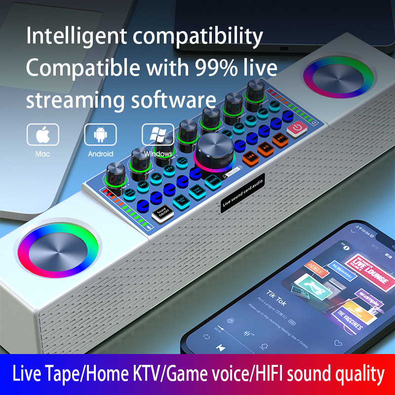 Karta dźwiękowa SY8 do transmi – Karaoke Machine Portable With 2 Mic recenzja i cena