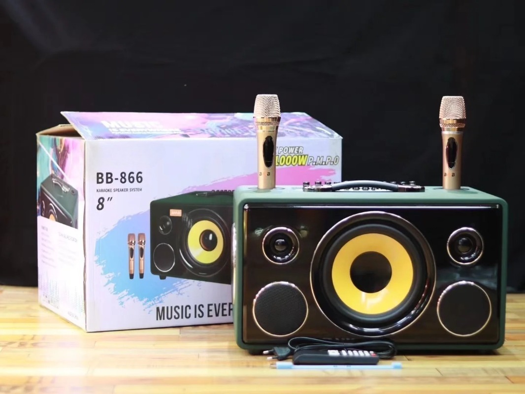 Profesjonalny 8-calowy głośnik – Karaoke Speaker System 100W Rgb recenzja i cena
